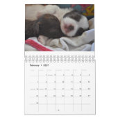 Chihuahua Love Calendar Kalender (Feb 2027)