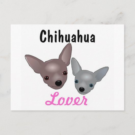 Chihuahua Lover Post Kaart (Voorkant)