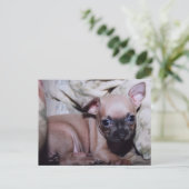 Chihuahua Lover's Delight Briefkaart (Staand voorkant)