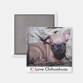 Chihuahua Lover's Delight Magneet (Voorkant / Achterkant)