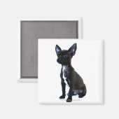 Chihuahua Magneet (Voorkant / Achterkant)