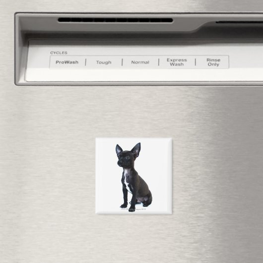 Chihuahua Magneet (Insitu (Vaatwasser))