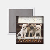 Chihuahua Magneet (Voorkant / Achterkant)