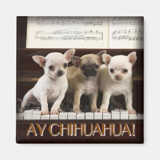 Chihuahua Magneet