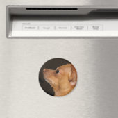 Chihuahua Magneet (Insitu (Vaatwasser))