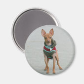 Chihuahua magnet (Voorkant / Achterkant)