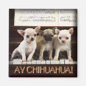 Chihuahua Magnet (Voorkant)