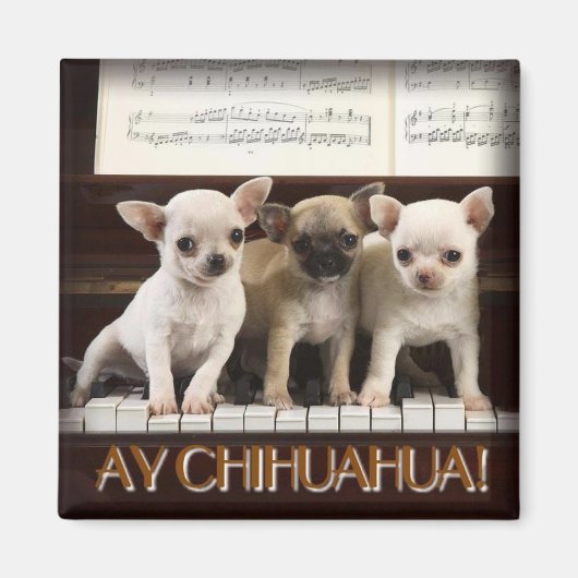 Chihuahua Magnet (Voorkant)