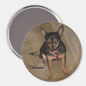 Chihuahua Magnet (Voorkant / Achterkant)