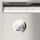 Chihuahua Magnet (Insitu (Vaatwasser))