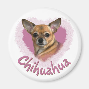 Chihuahua Magnet