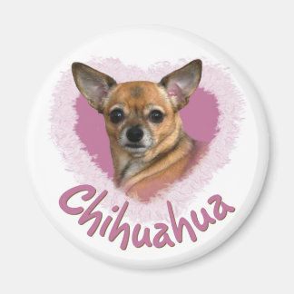 Chihuahua Magnet