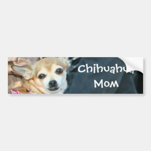 Chihuahua Mam Bumpersticker