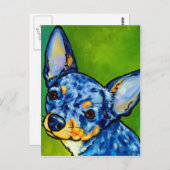 Chihuahua Merle 2 Briefkaart (Voorkant / Achterkant)