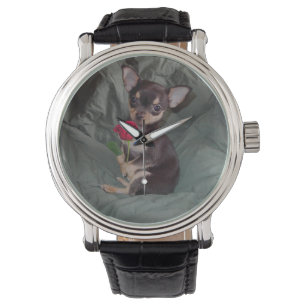 Chihuahua MerryRose met een Rozen horloge