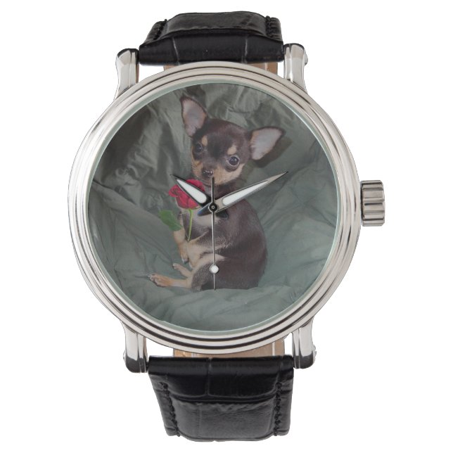 Chihuahua MerryRose met een Rozen horloge (Voorkant)