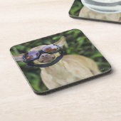 Chihuahua met bril bier onderzetter (Linkerzijde)