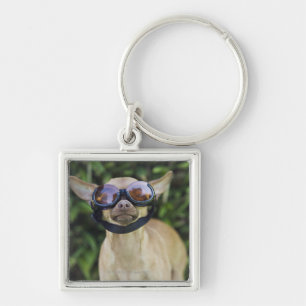 Chihuahua met bril sleutelhanger