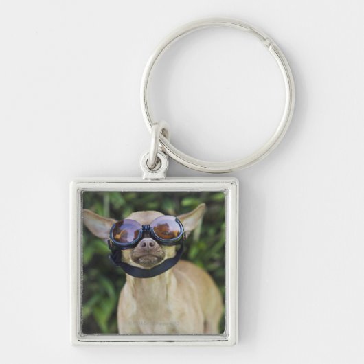 Chihuahua met bril sleutelhanger (Voorkant)