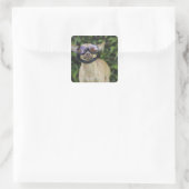 Chihuahua met bril vierkante sticker (Tas)