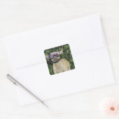 Chihuahua met bril vierkante sticker (Envelop)