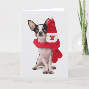 Chihuahua met de pop van de Kerstman Feestdagen Kaart