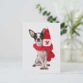 Chihuahua met de pop van de Kerstman Feestdagenkaart (Staand voorkant)