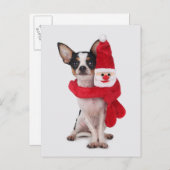 Chihuahua met de pop van de Kerstman Feestdagenkaart (Voorkant / Achterkant)