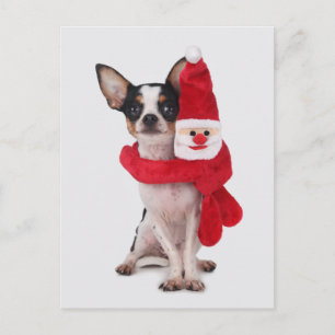 Chihuahua met de pop van de Kerstman Feestdagenkaart