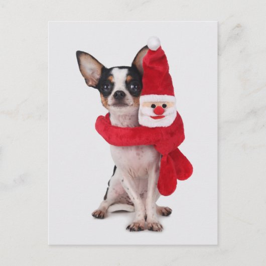 Chihuahua met de pop van de Kerstman Feestdagenkaart (Voorkant)