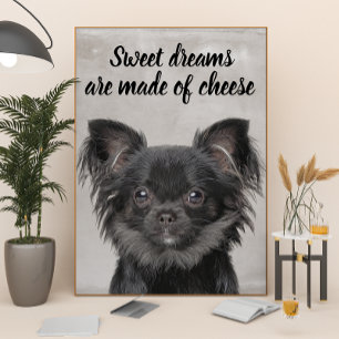 Chihuahua met een grappig poster van hondencitaten