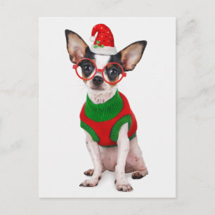 Chihuahua met het pet en de glazen van de Kerstman Feestdagenkaart