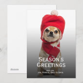 Chihuahua met kerstcadeau en Pet Feestdagenkaart (Voorkant / Achterkant)