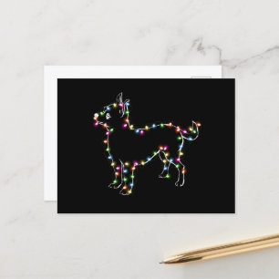 Chihuahua met kerstmis lichte Hondenliefhebbers Briefkaart