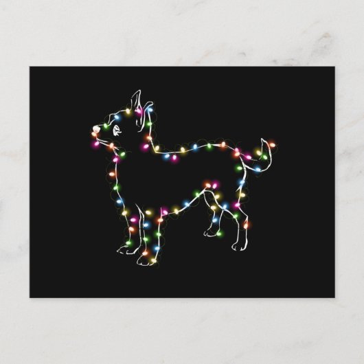 Chihuahua met kerstmis lichte Hondenliefhebbers Briefkaart (Voorkant)