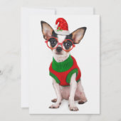 Chihuahua met kerstmuts en een bril feestdagenkaart (Voorkant)
