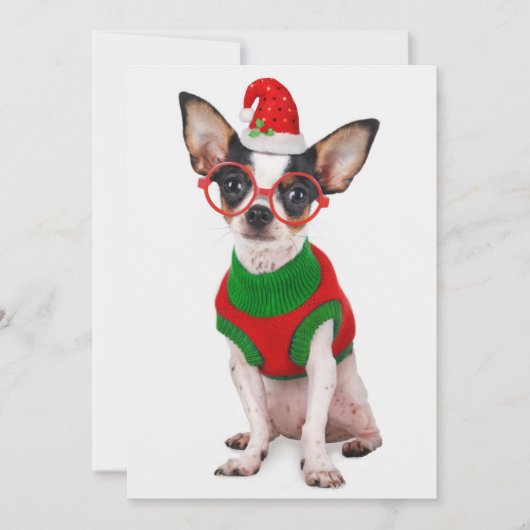 Chihuahua met kerstmuts en een bril feestdagenkaart (Voorkant)