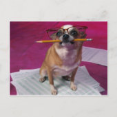 Chihuahua met potlood briefkaart (Voorkant)