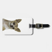 Chihuahua met standvastigheid bagagelabel (Voorkant horizontaal)