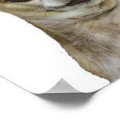 Chihuahua met standvastigheid poster (Hoek)