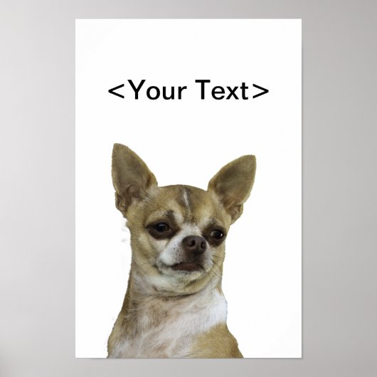 Chihuahua met standvastigheid poster (Voorkant)