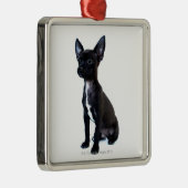 Chihuahua Metalen Ornament (Rechts)
