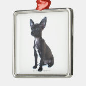 Chihuahua Metalen Ornament (Links)
