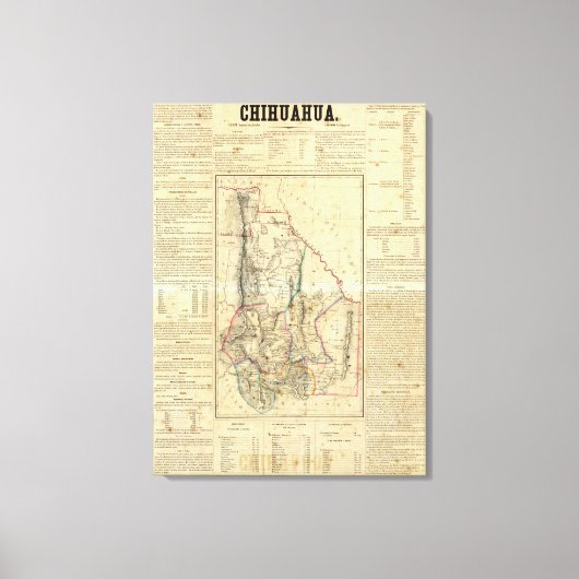 Chihuahua, Mexico Canvas Afdruk (Voorkant)