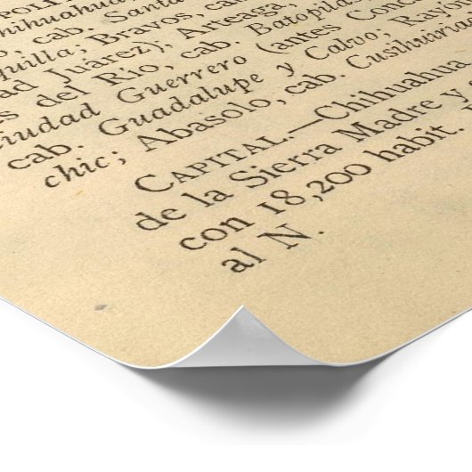 Chihuahua, Mexico Poster (Hoek)