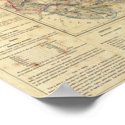 Chihuahua, Mexico Poster (Hoek)