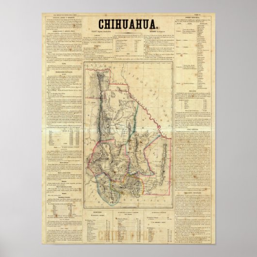 Chihuahua, Mexico Poster (Voorkant)