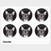 Chihuahua MickeyElvis Sticker (Vel)