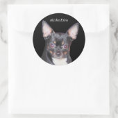 Chihuahua MickeyElvis Sticker (Tas)