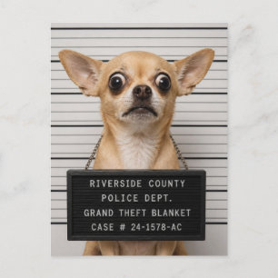 Chihuahua Mugshot: Grote Diefstal van Deken Briefkaart